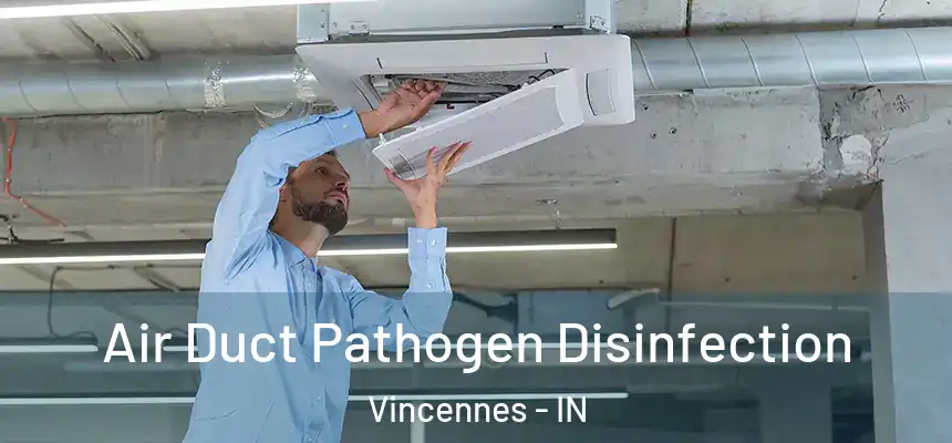  Air Duct Pathogen Disinfection Vincennes - IN