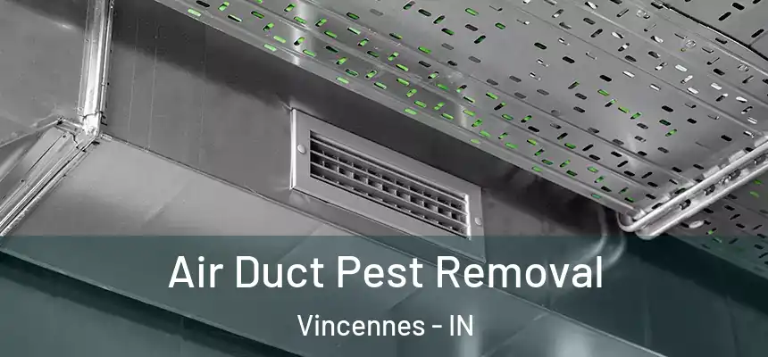  Air Duct Pest Removal Vincennes - IN