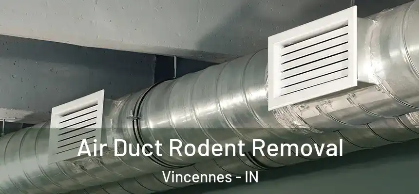  Air Duct Rodent Removal Vincennes - IN