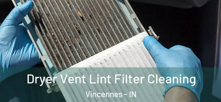  Dryer Vent Lint Filter Cleaning Vincennes - IN