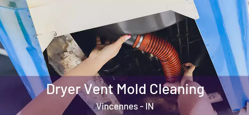  Dryer Vent Mold Cleaning Vincennes - IN