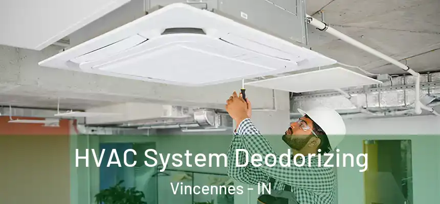  HVAC System Deodorizing Vincennes - IN