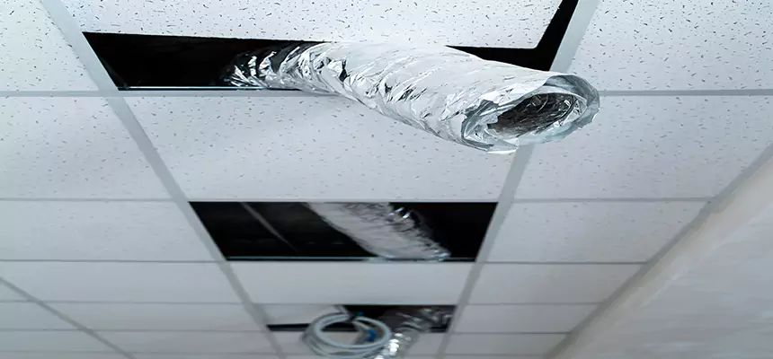 Affordable HVAC Sanitizing After Pest Removal in Vincennes