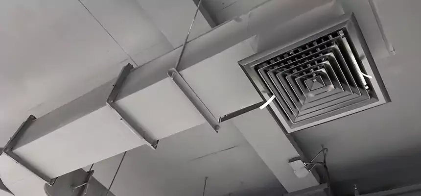 Restorative Allergy Relief Vent Cleaning – Coil, Blower & Housing Detail in Vincennes