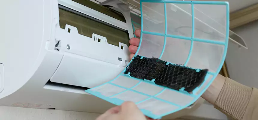 Gentle Ductwork Odor-Control Pet Dander Duct Cleaning in Vincennes, IN