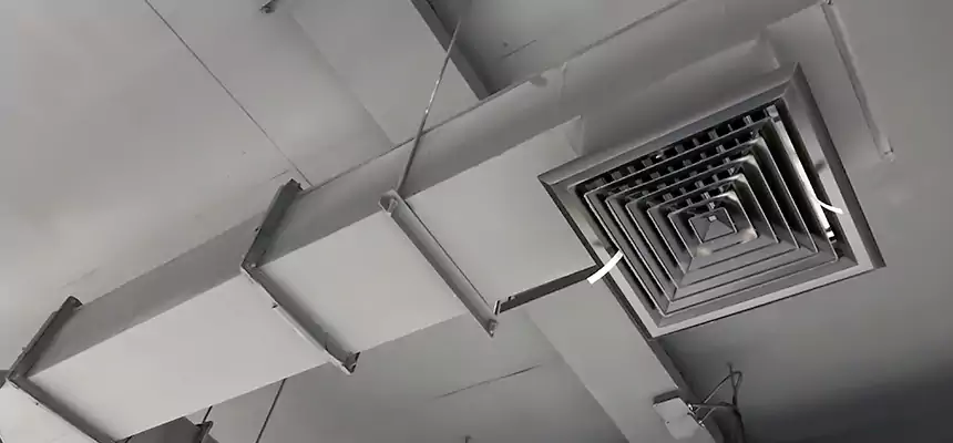 Our Rodent Droppings In Vents Services in Vincennes, IN