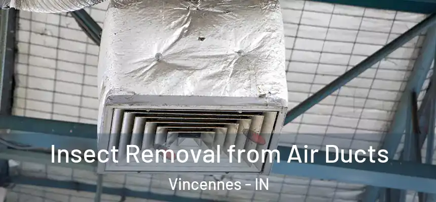  Insect Removal from Air Ducts Vincennes - IN