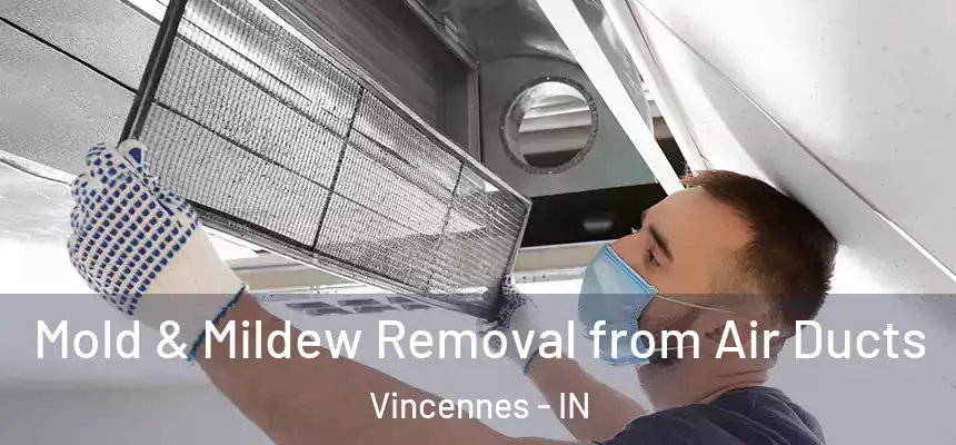  Mold & Mildew Removal from Air Ducts Vincennes - IN