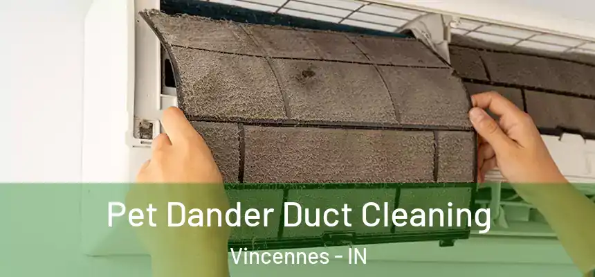  Pet Dander Duct Cleaning Vincennes - IN