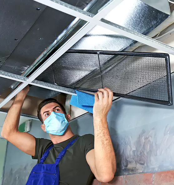 About Air Duct Bacteria Removal in Vincennes