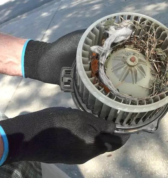 About Air Duct Mice Removal in Vincennes, IN