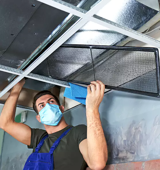 Professional Air Duct Pollen Cleaning in Vincennes, IN