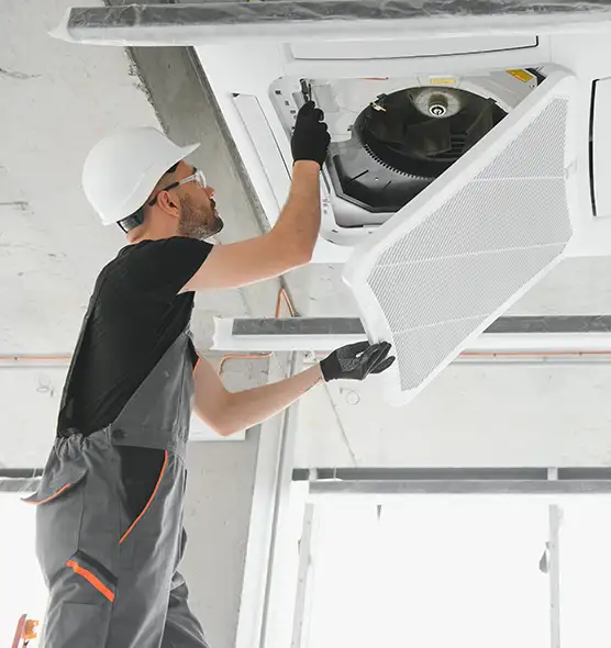 About Air Duct Rodent Removal in Vincennes, IN