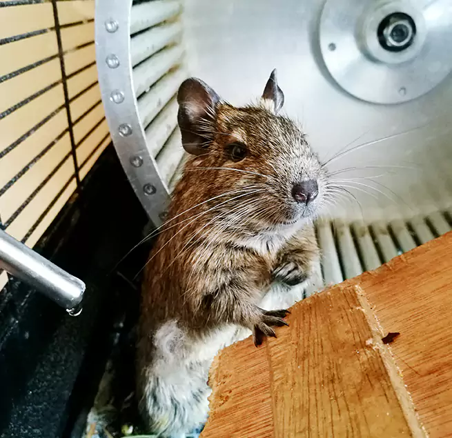 Why Homeowners & Businesses Trust Us Vincennes, IN?