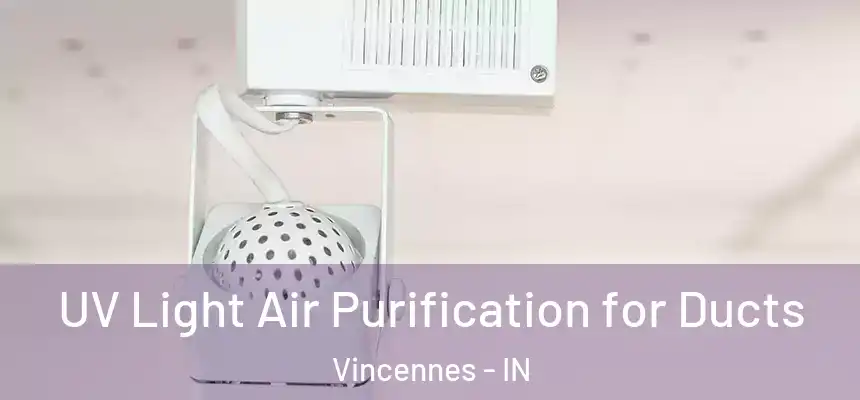  UV Light Air Purification for Ducts Vincennes - IN